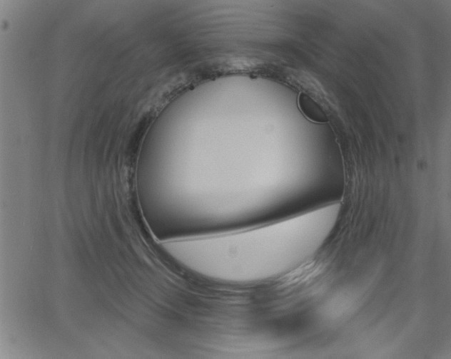 X0000065970366200603030911