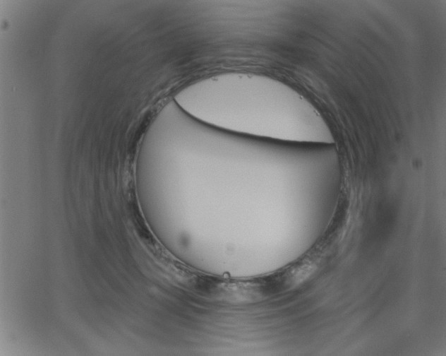 X0000065970367200603030911