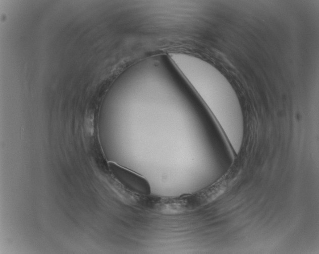 X0000065970368200603030911