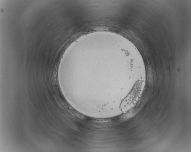 X0000065970370200603030911