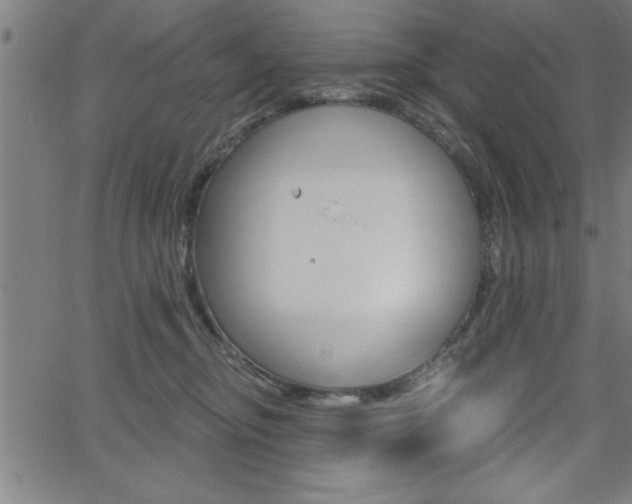 X0000065970374200603030911