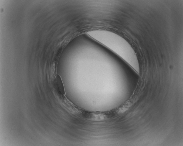 X0000065970376200603030911