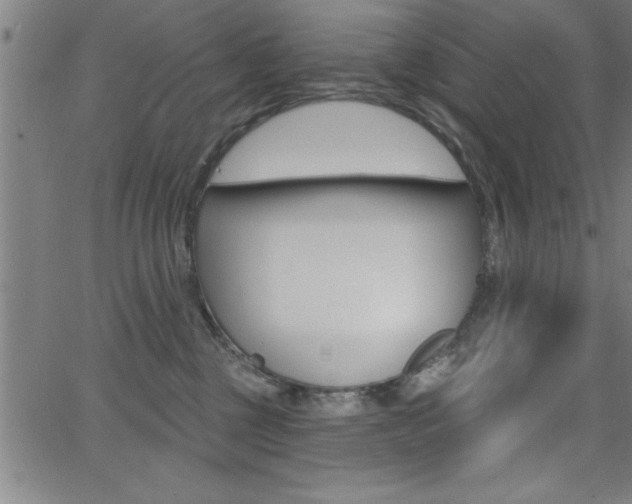 X0000065970377200603030911