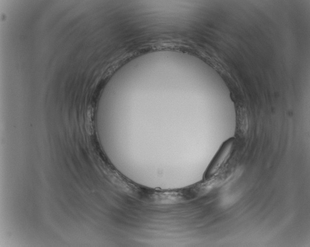 X0000065970378200603030911