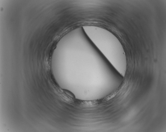 X0000065970381200603030911