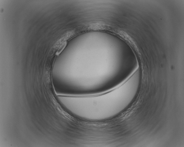 X0000065970393200603030910