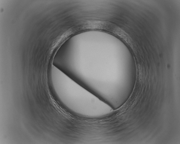 X0000065970482200603030909