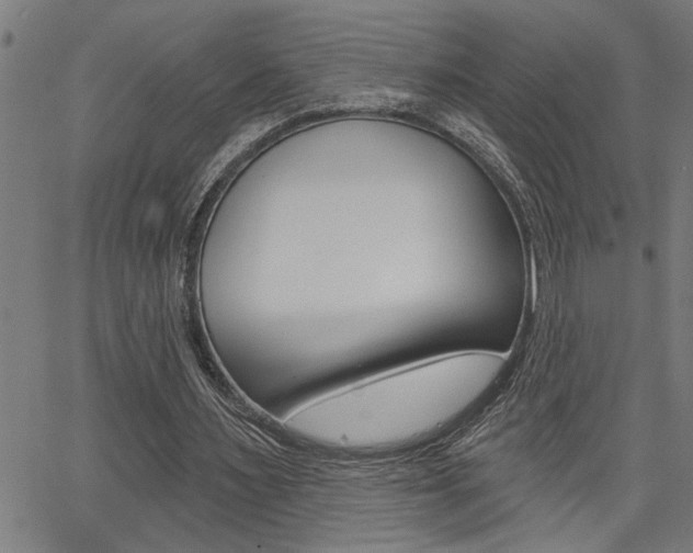 X0000065970483200603030909