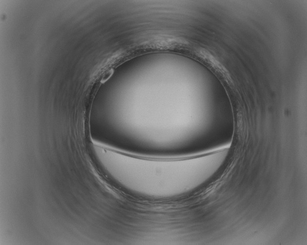 X0000065970493200603030908