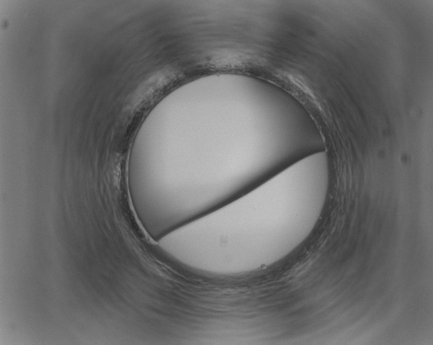 X0000065970495200603030908