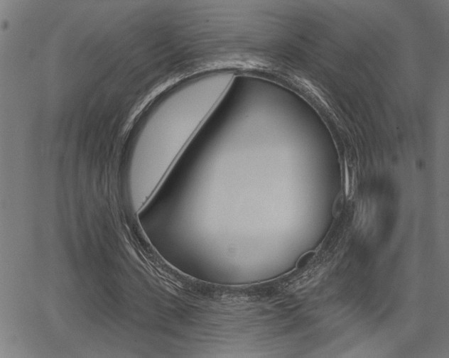 X0000065970531200603030907