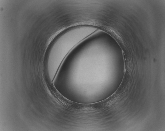 X0000065970536200603030907