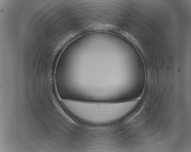 X0000065970581200603030907