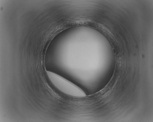 X0000065970593200603030907