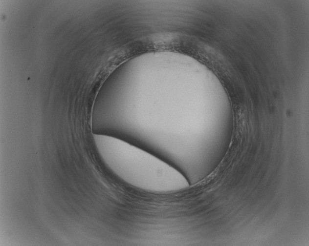 X0000065970698200603030905