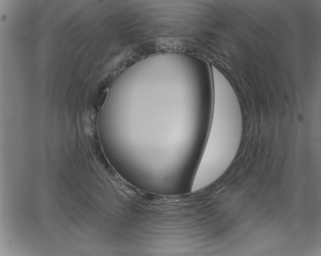 X0000065970712200603030905