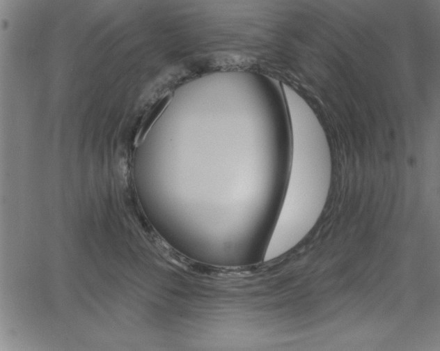X0000065970716200603030905