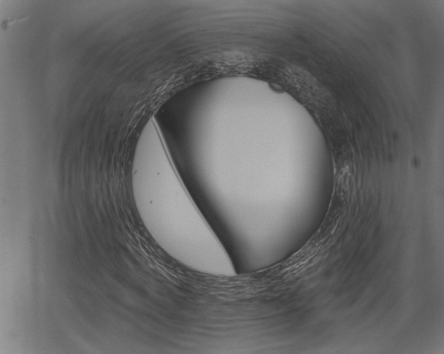 X0000065970772200603030904