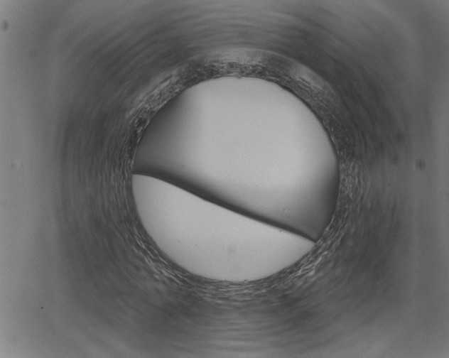 X0000065970774200603030904