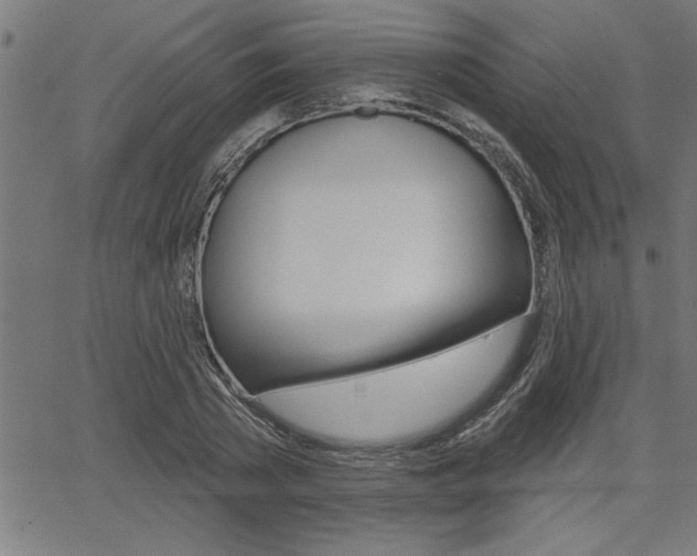 X0000065970785200603030904