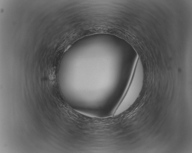 X0000065970818200603030902