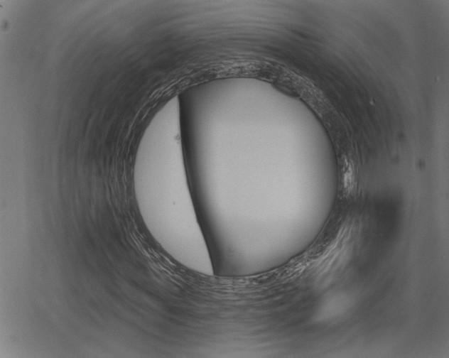 X0000065970819200603030902