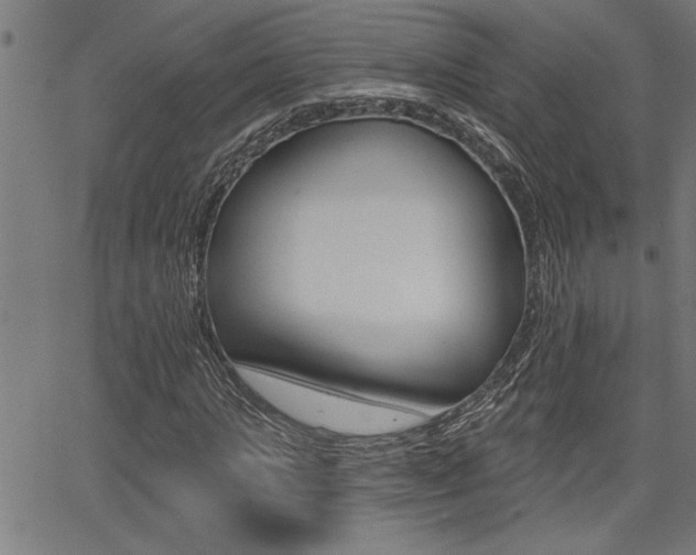 X0000065970821200603030902