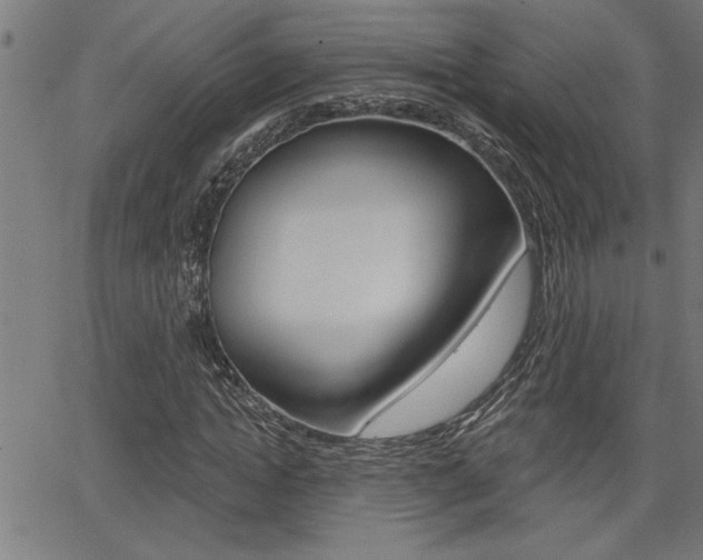 X0000065970822200603030902