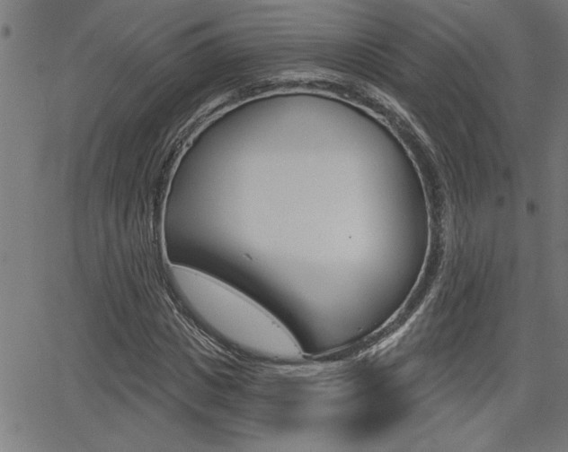 X0000065970825200603030902