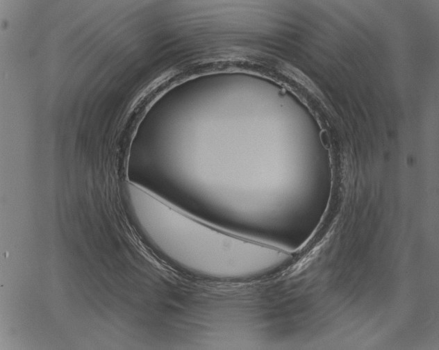 X0000065970826200603030902
