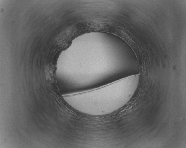 X0000065970867200603030902