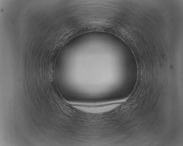 X0000065970868200603030902