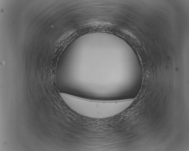 X0000065970869200603030902