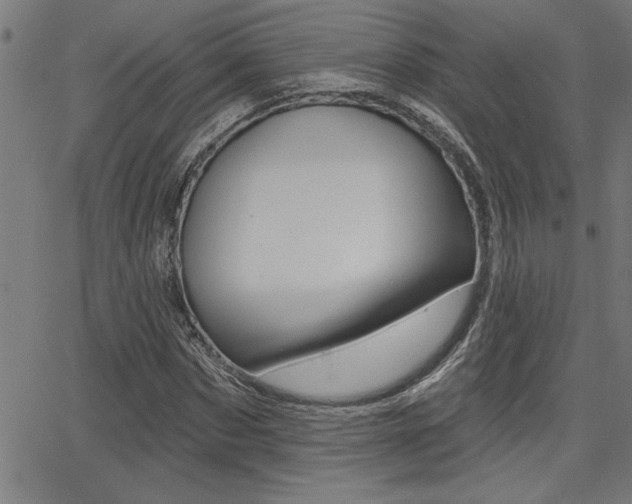 X0000065970873200603030902