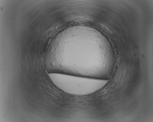 X0000065970917200603030901