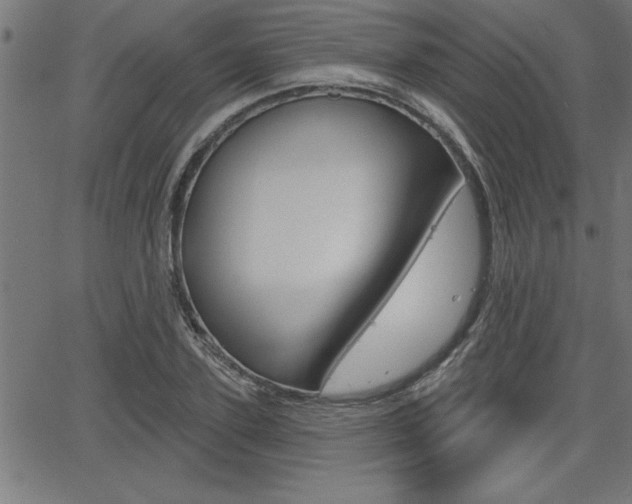 X0000065970931200603030901