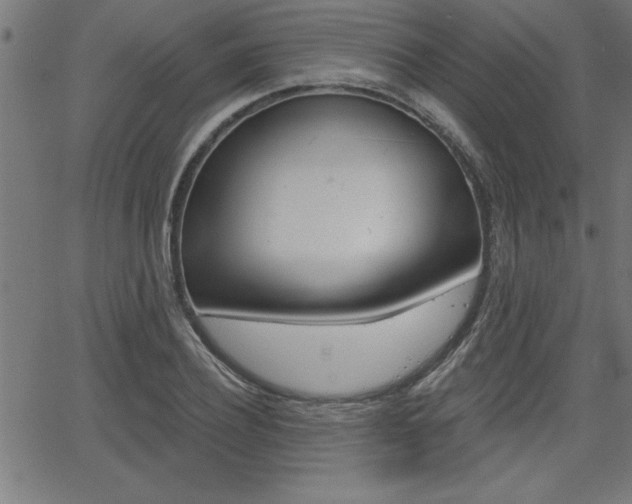 X0000065970932200603030901