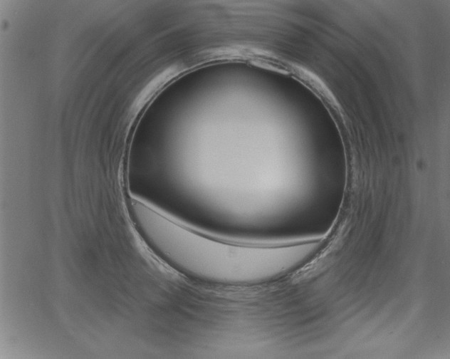 X0000065970946200603030901