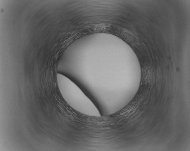 X0000065970962200603030901