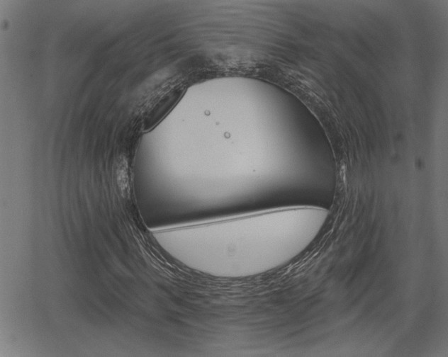 X0000065970963200603030901