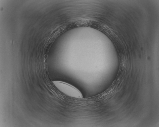 X0000065970964200603030901