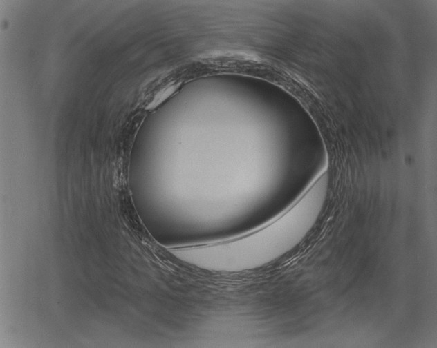 X0000065970965200603030901