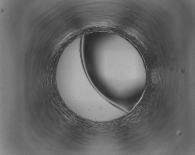 X0000065970968200603030901