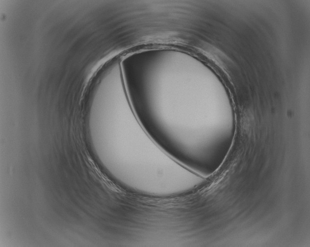 X0000065970971200603030901