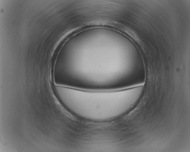 X0000065970984200603030900