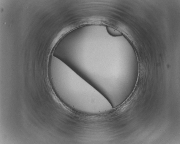 X0000065970994200603030900