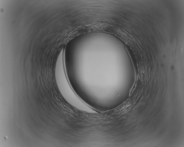 X0000065971010200603030859