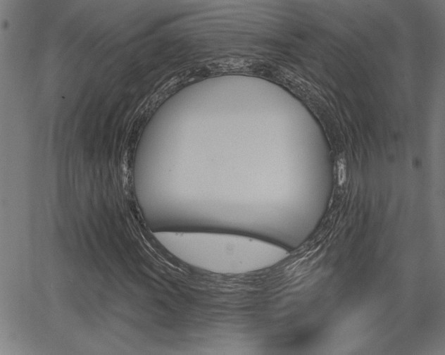 X0000065971011200603030859
