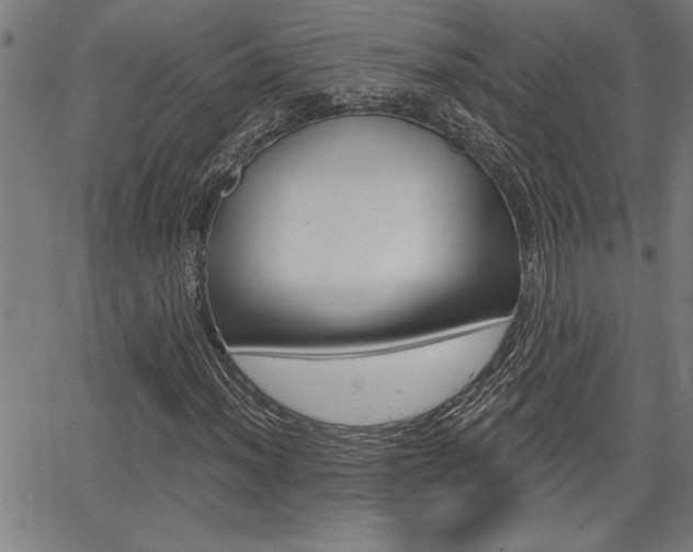 X0000065971012200603030859
