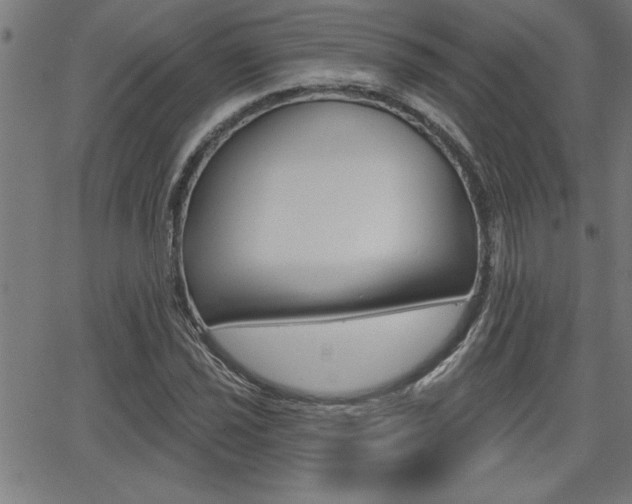 X0000065971021200603030859